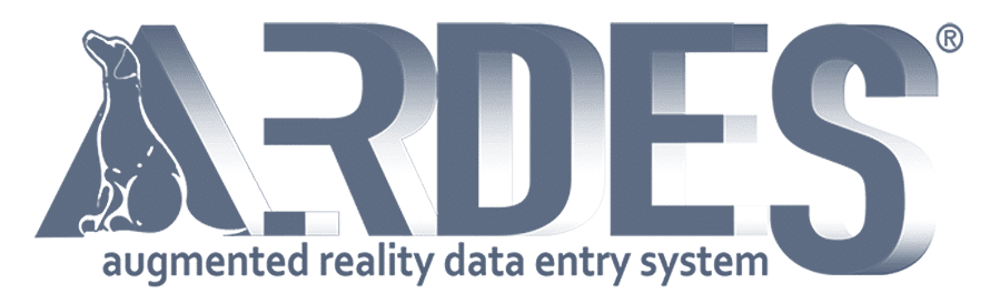 CT3 Training | DEI Training Program Driving Workplace Success